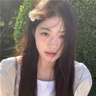 寻根封面