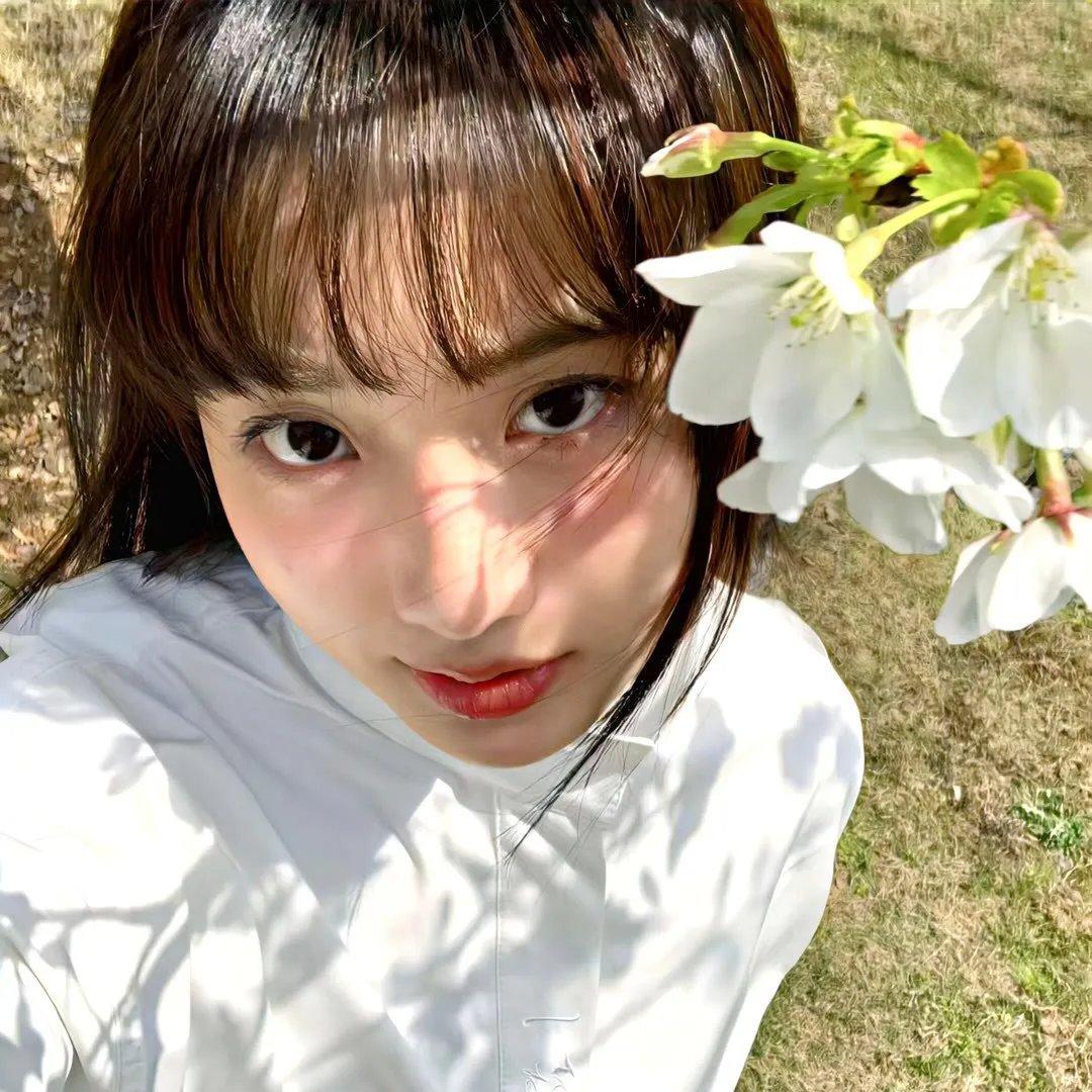 希腊新娘封面